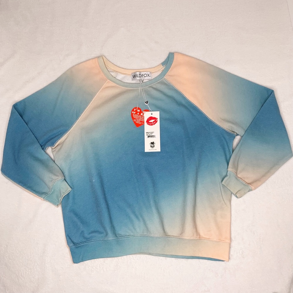Wildfox Sommers Sweatshirt in the Grotto | Long Sleeve Pullover